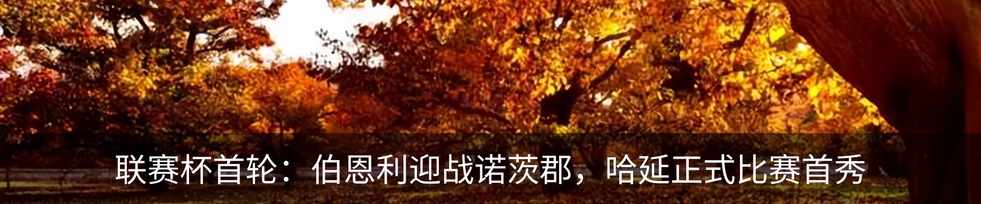 资讯动态