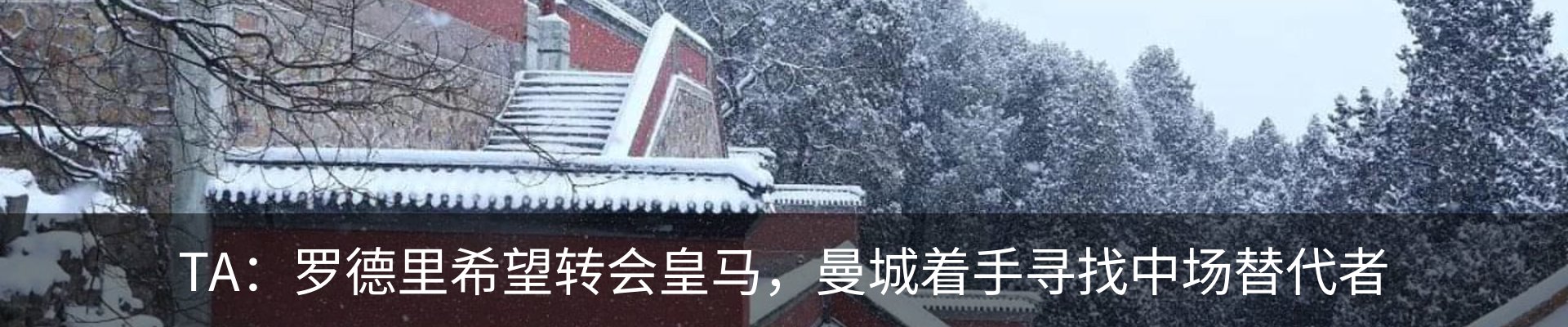 资讯动态